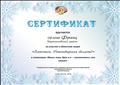 Сертификат за участие в областной акции "Засветись, Новосибирская область!"